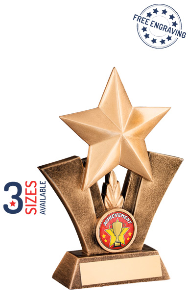 School Achievement Star Award- RF17